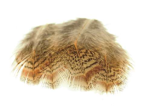 Veniard English Partridge Brown Back Natural 1 Gram Fly Tying Materials